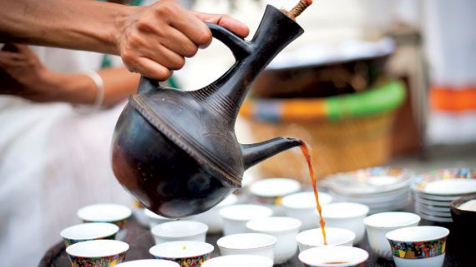 Spark the Change: Enjoy, Learn, and Make a Difference!