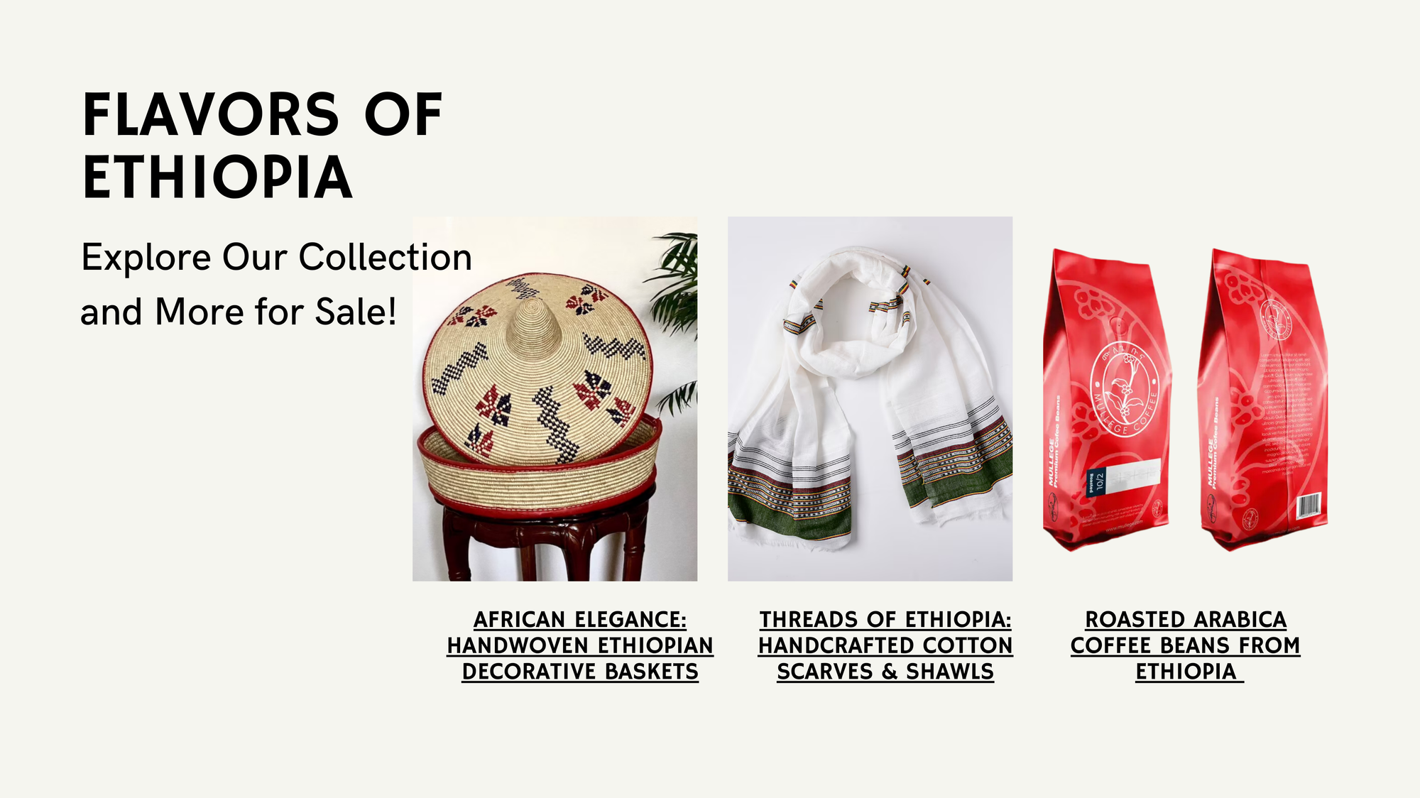 Spark the Change: Enjoy, Learn, and Make a Difference!