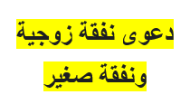 دعوى نفقة زوجية ونفقة صغير
