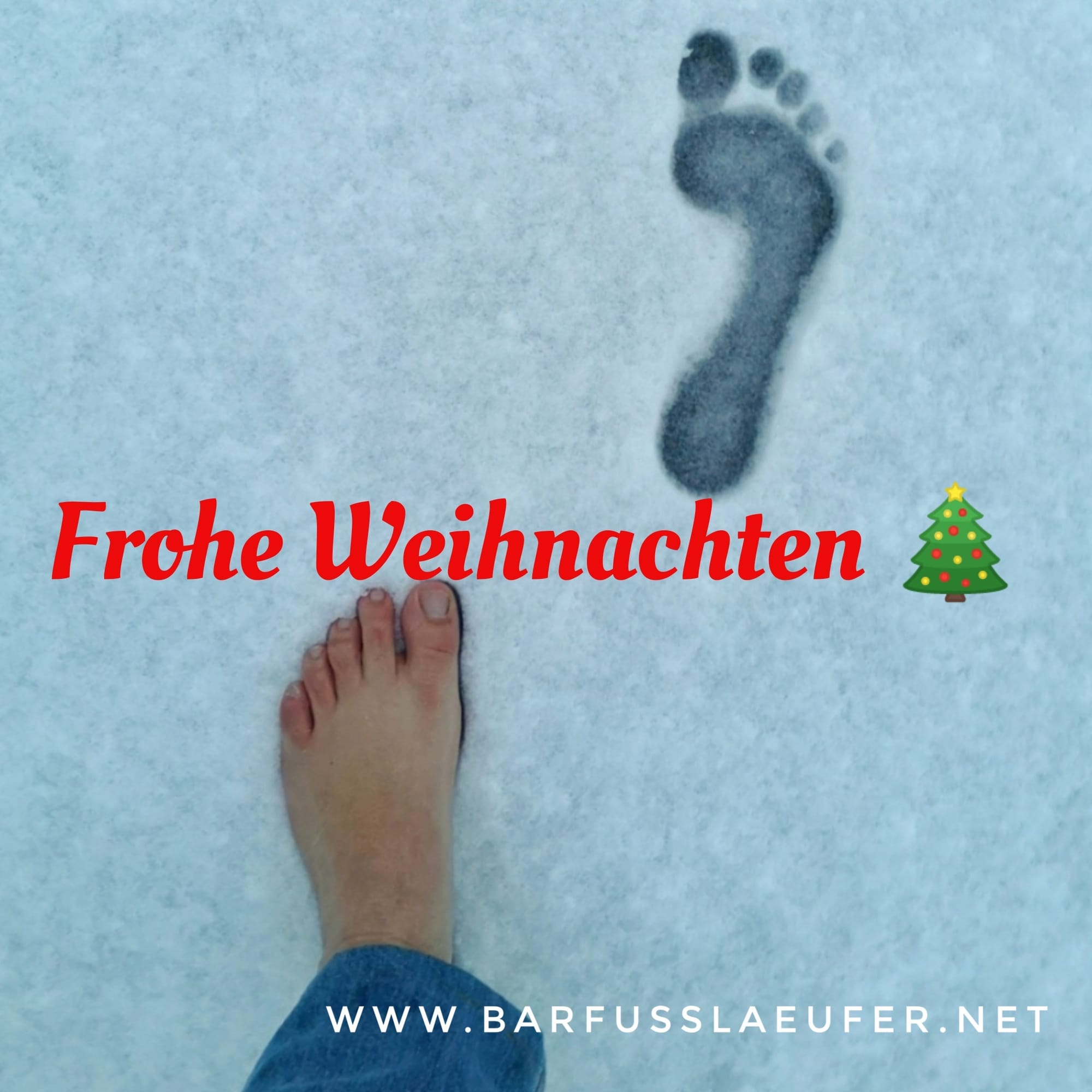 Frohe Weihnachten 🎄