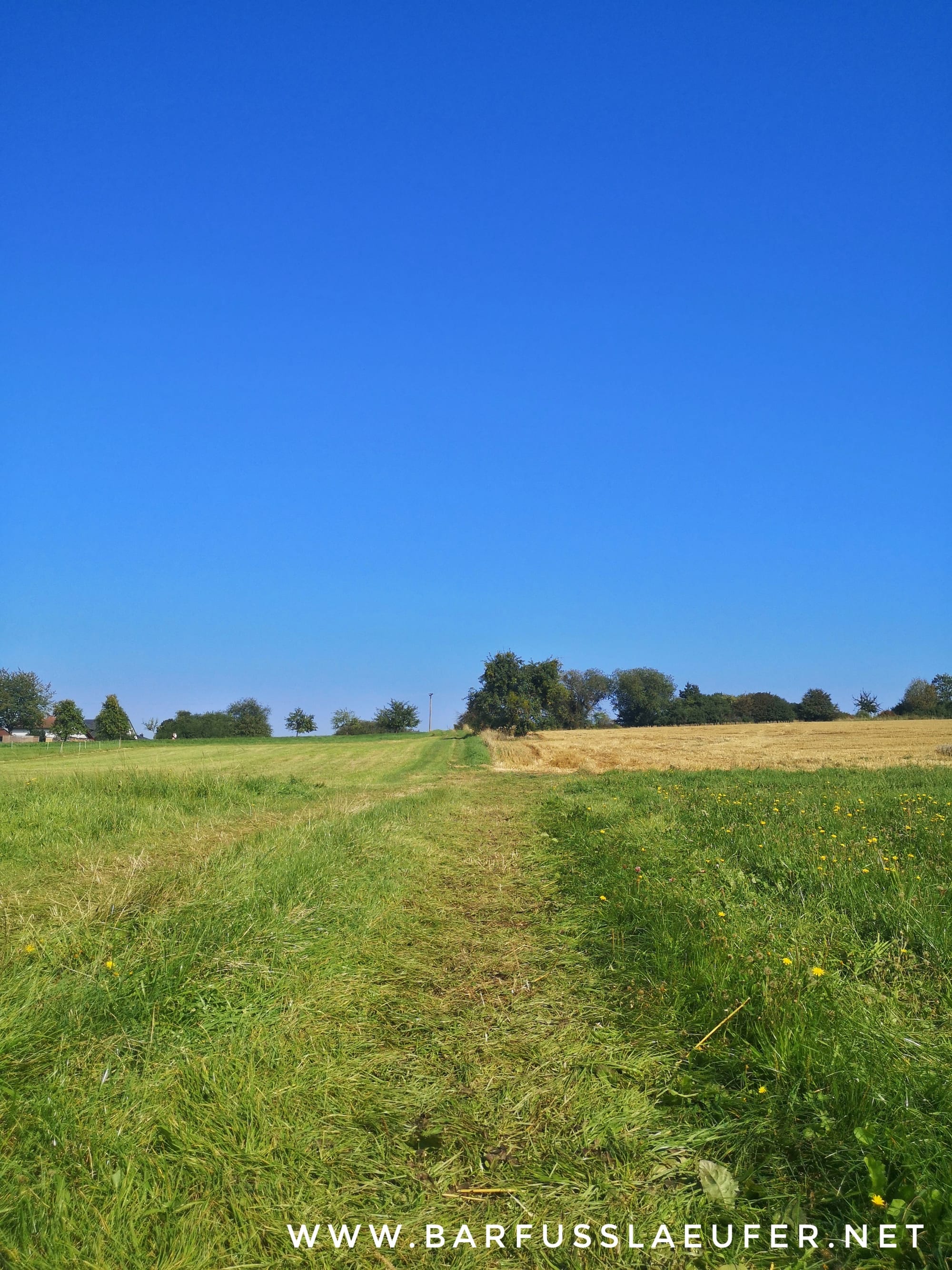 Spätsommer