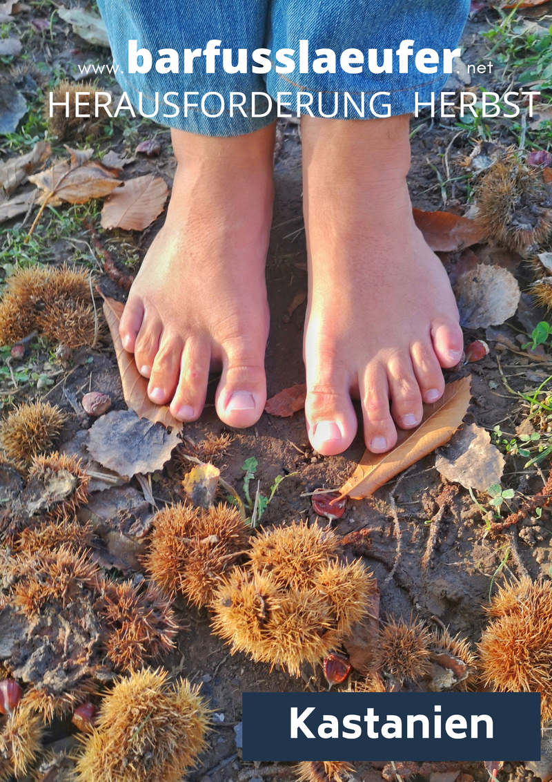 Herausforderung Herbst: Kastanien
