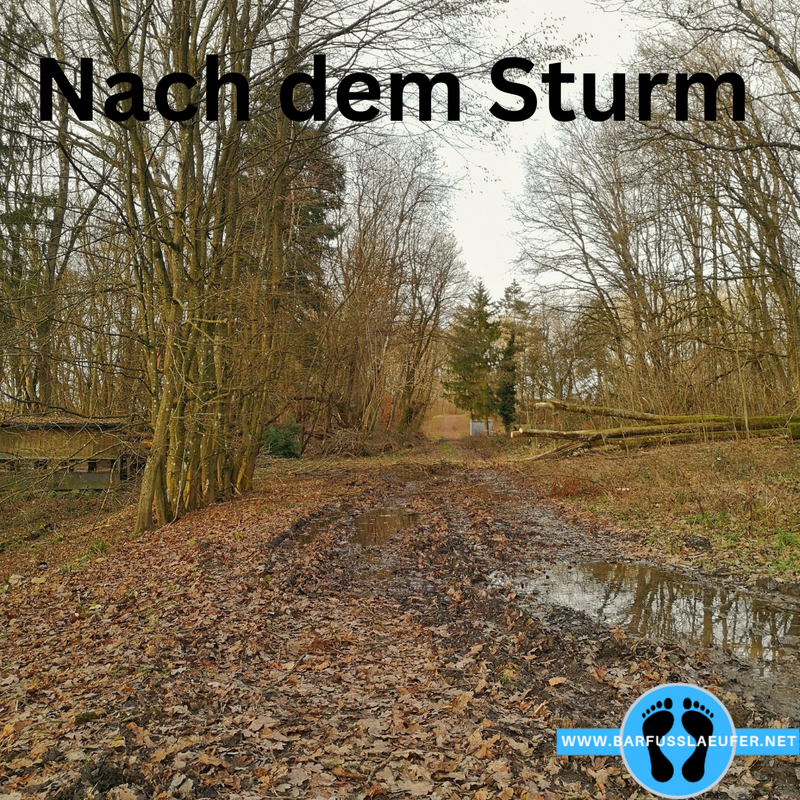 Nach Sturm und Dauerregen