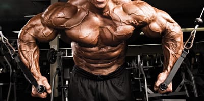 Fitnes Exercises