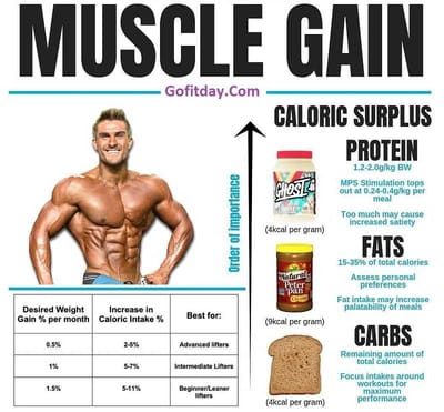 The 10 Best Ways to Build Muscles