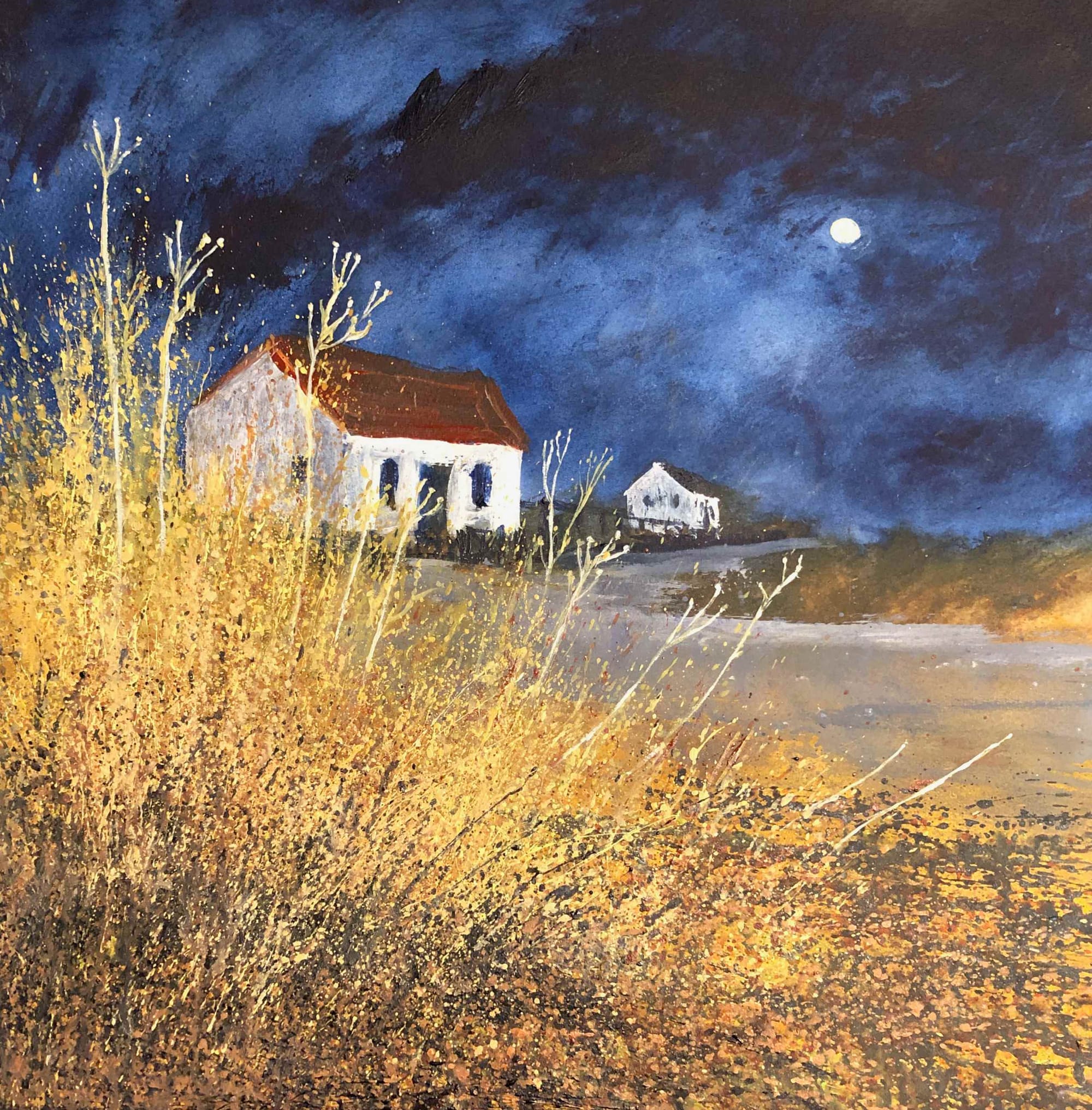 In The Moonlight, The Secret Lives of Grasses