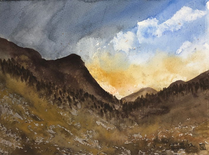 Where The Forest Lives