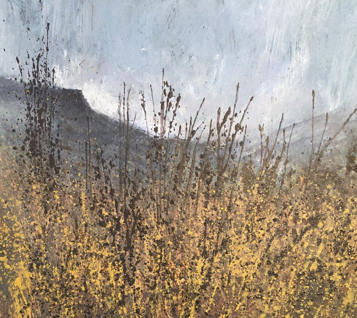 Winter, The Secret Lives Of Grasses