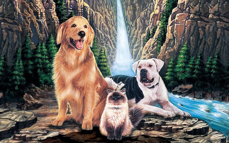 Homeward Bound The Incredible Journey (1993)