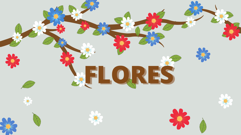 As cores das flores ao longo do ano