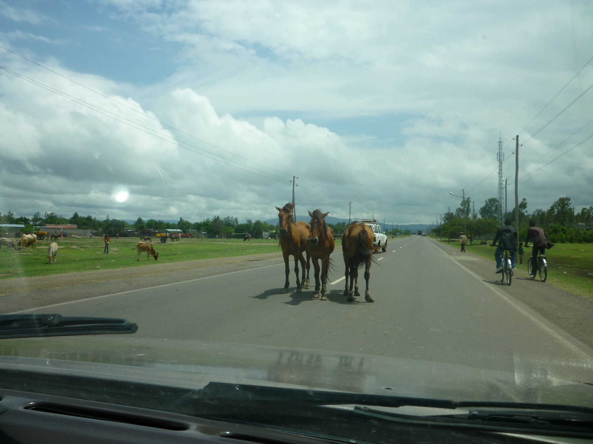 Teaching Life Skills - English TEFL/Leadership/Team Work