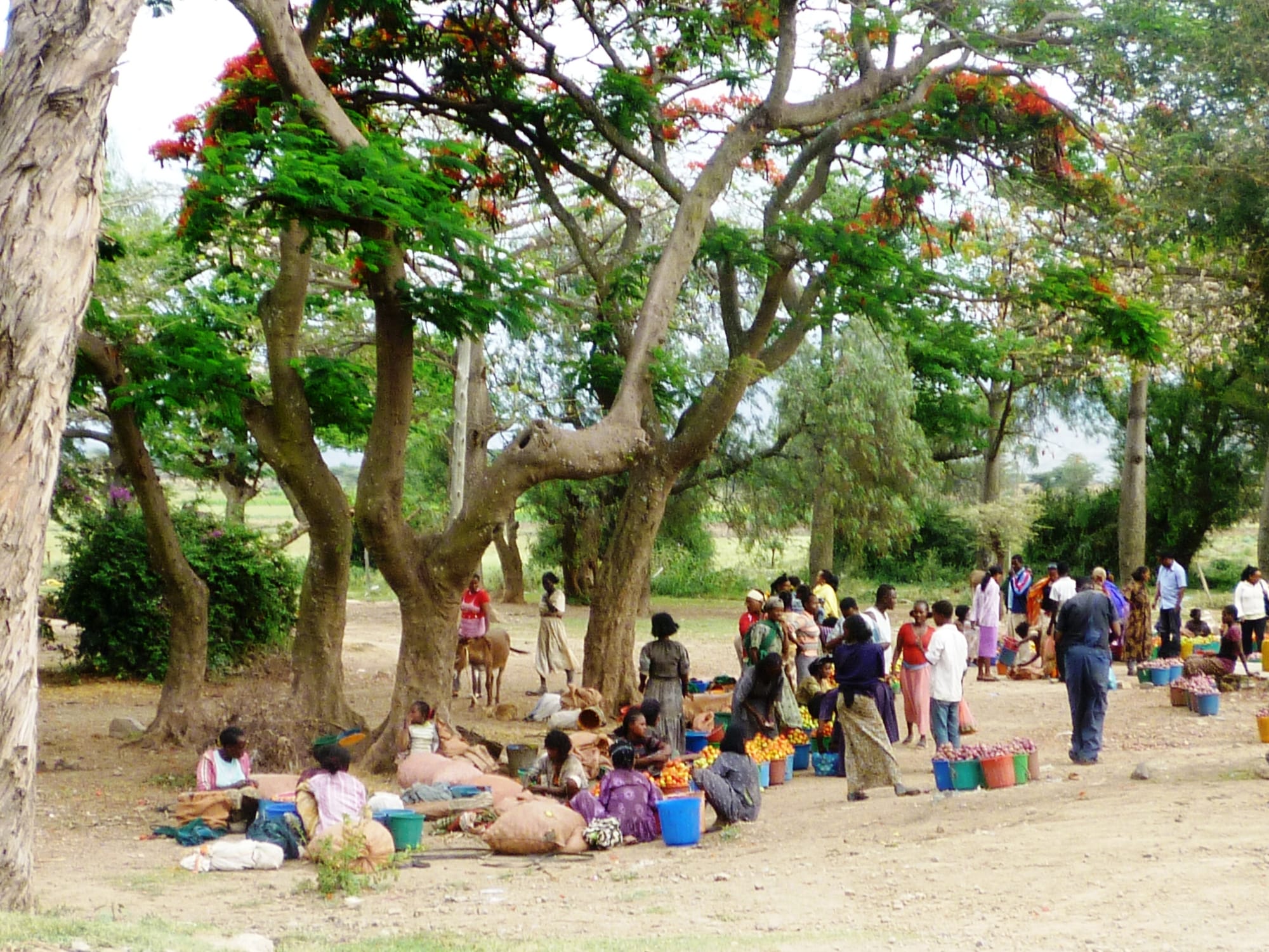 Teaching Life Skills - English TEFL/Leadership/Team Work