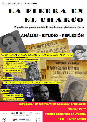 La Piedra en el Charco Nº2