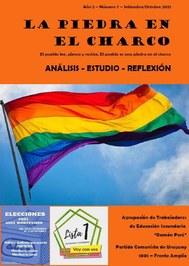 La Piedra en el Charco Nº7