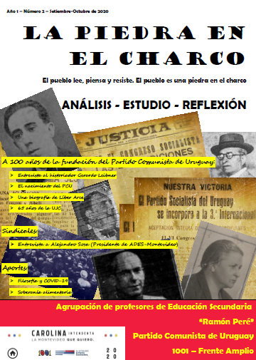 La Piedra en el Charco Nº2