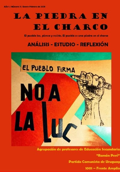 La piedra en el charco Nº3