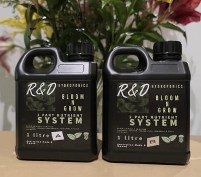 Gaea Gems born of Mother Earth image