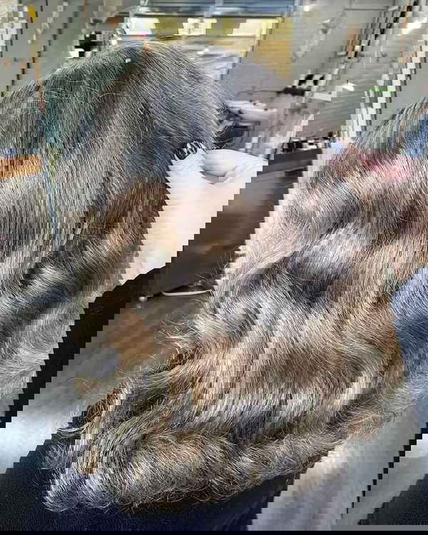 Color
