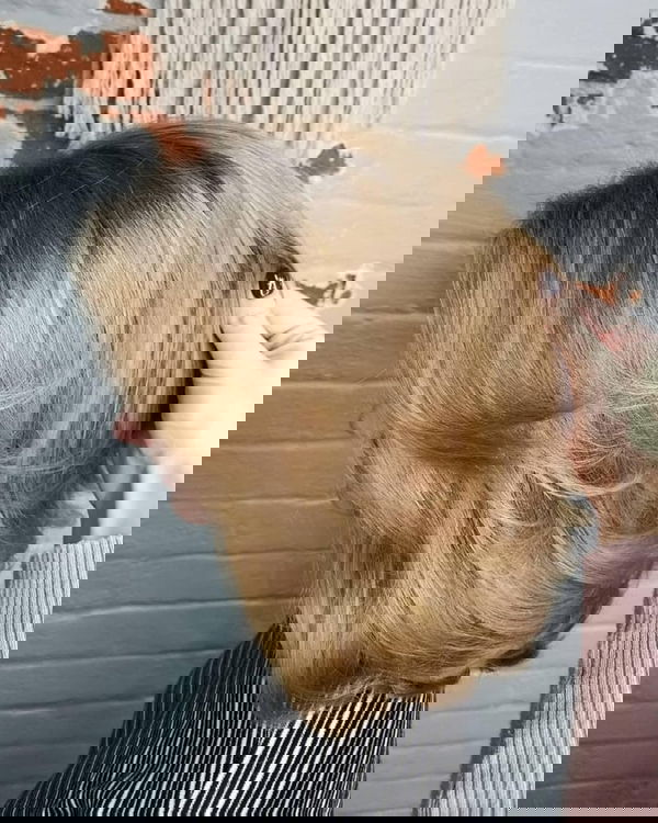 Cuts