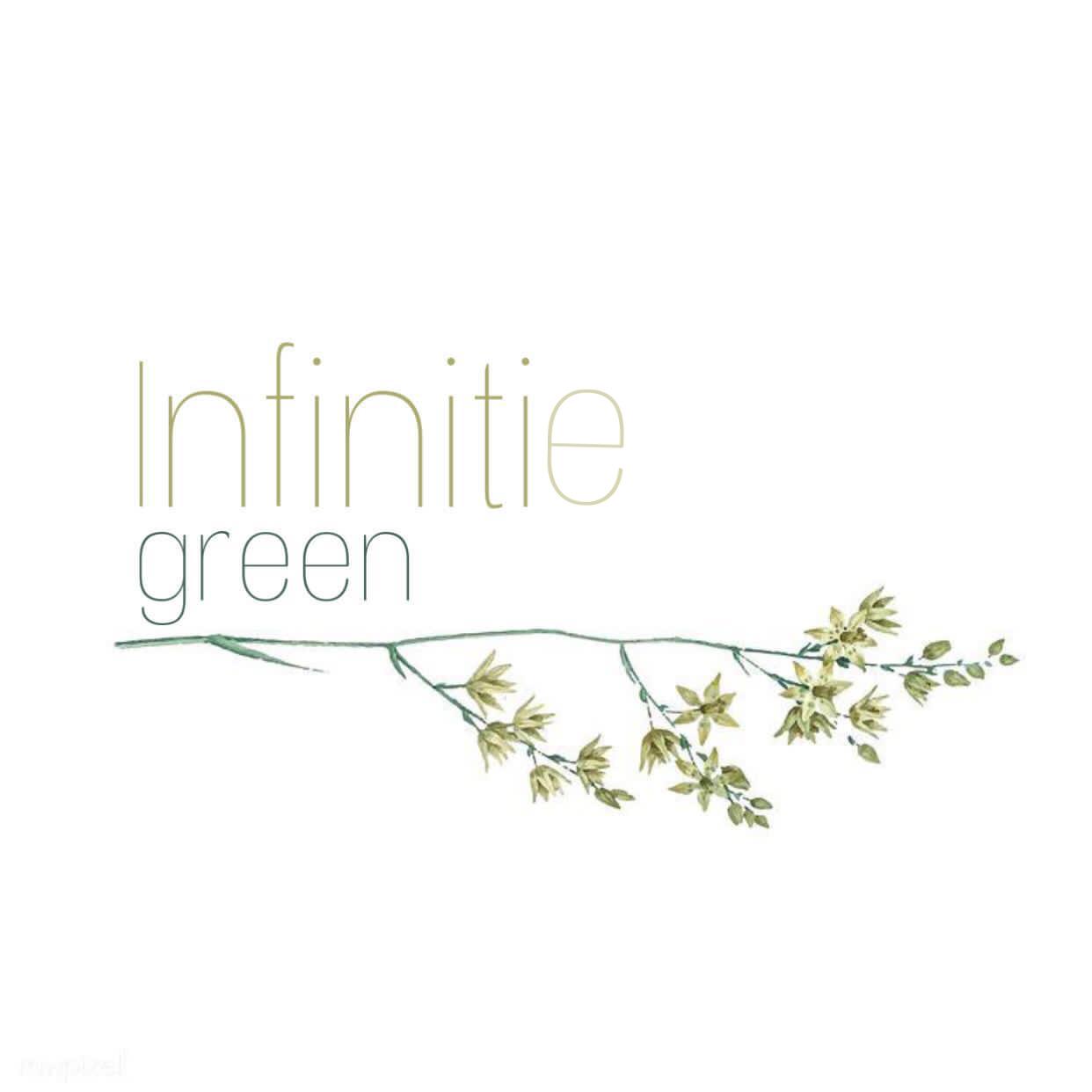 في infinitie green ستجد جميع انواع النباتات المنزلية سهلة العناية