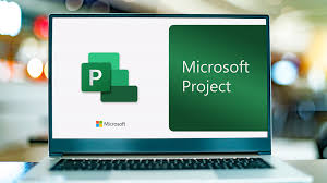 Comprehensive Introduction to Microsoft Project