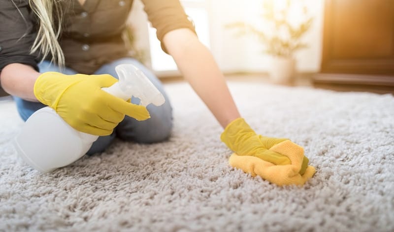DIY Cleaning Tricks For Rug Or Carpet