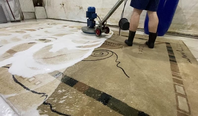 Why You Should Hire A Professional to Clean Your Pet Stain Carpet? 5 reasons!