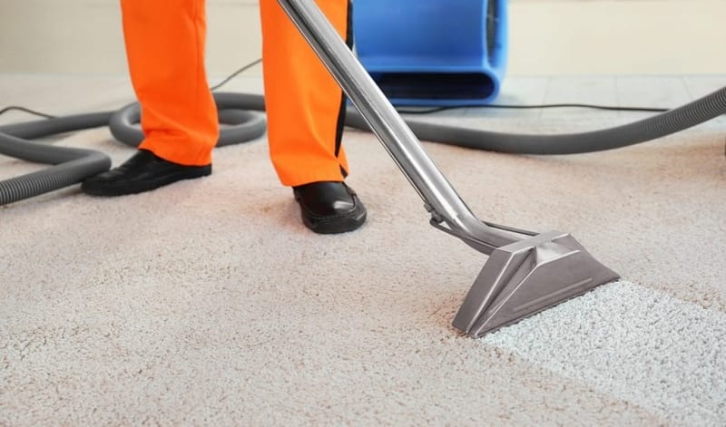 Know How Dennis MA Rug Cleaning Will Help You