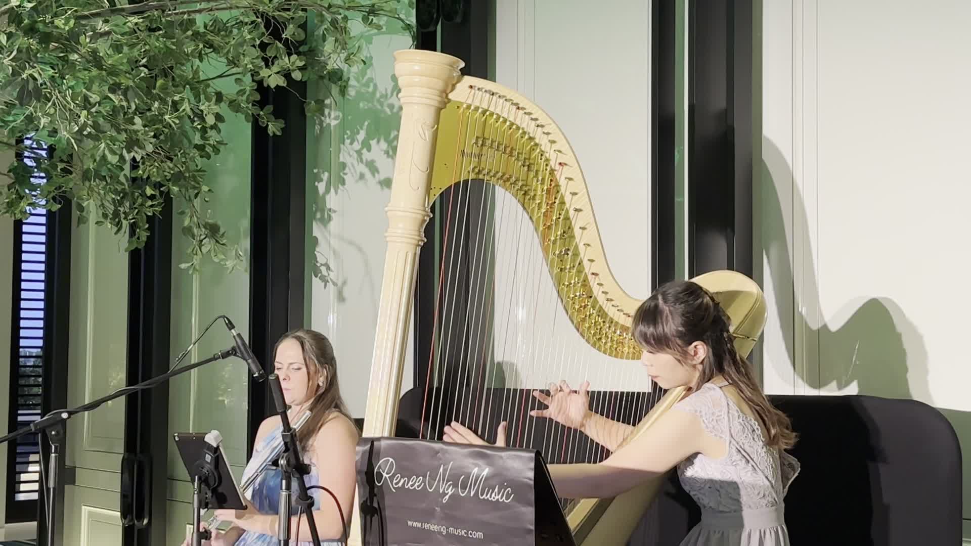 Harp and flute duet