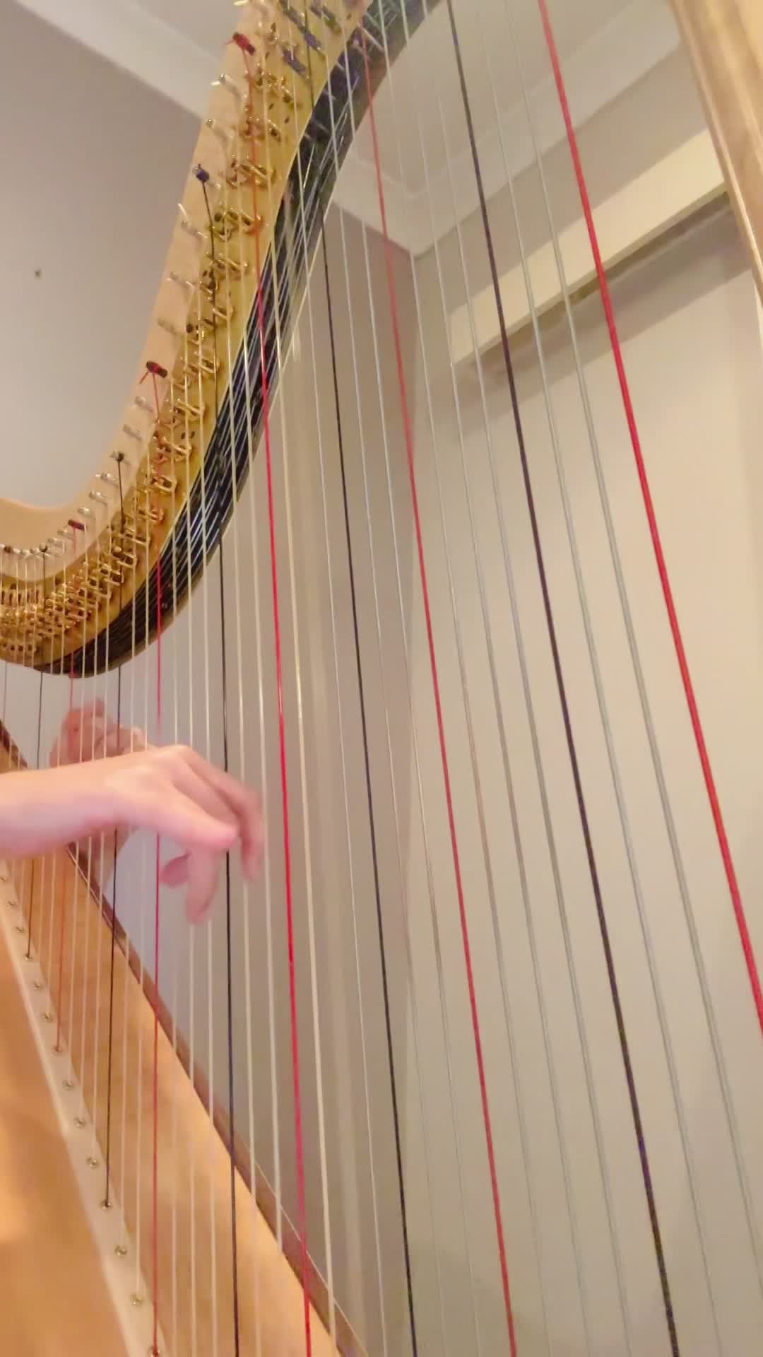 Harp arrangement - Reflection from 'Mulan'