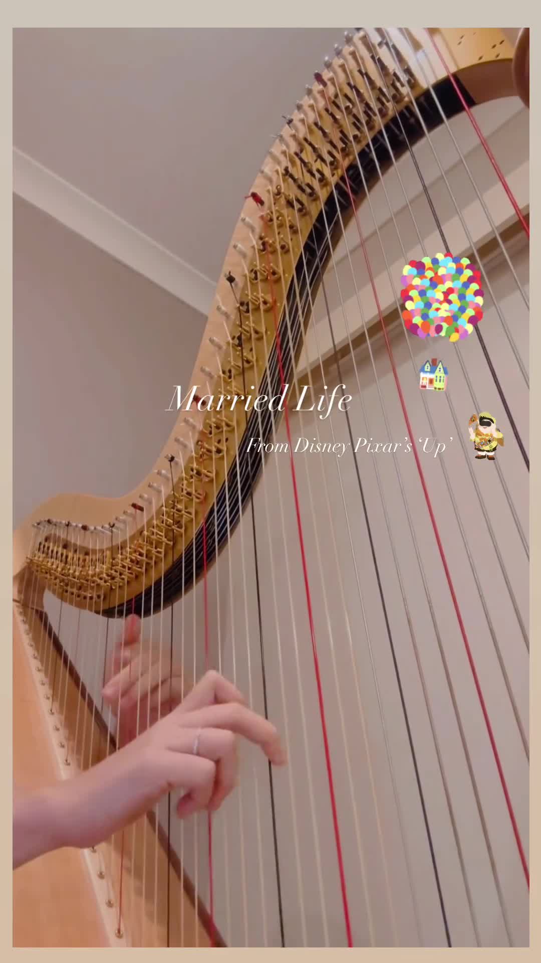 Harp Arrangement- Married life from 'Up'