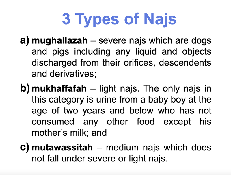 主題五 :《马来西亚HALAL食品标准(MS1500:2009)?》Malaysian Halal Food Standard (MS1500:2019)