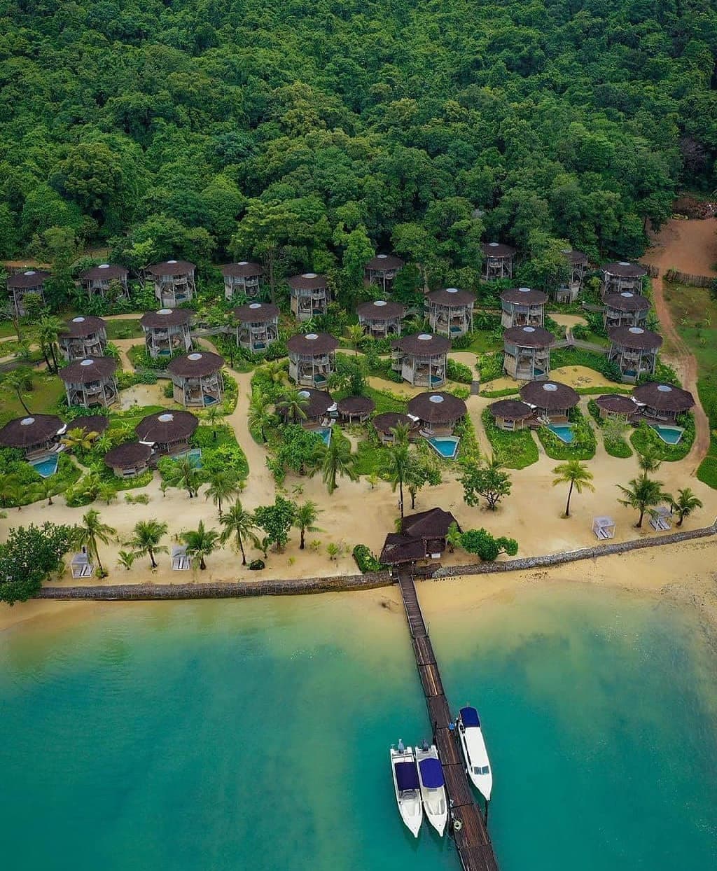tree house villas