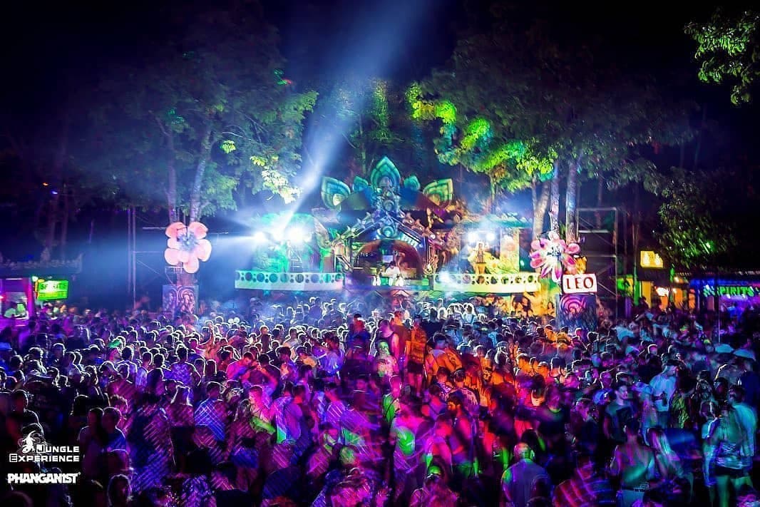 Jungle Experience party
