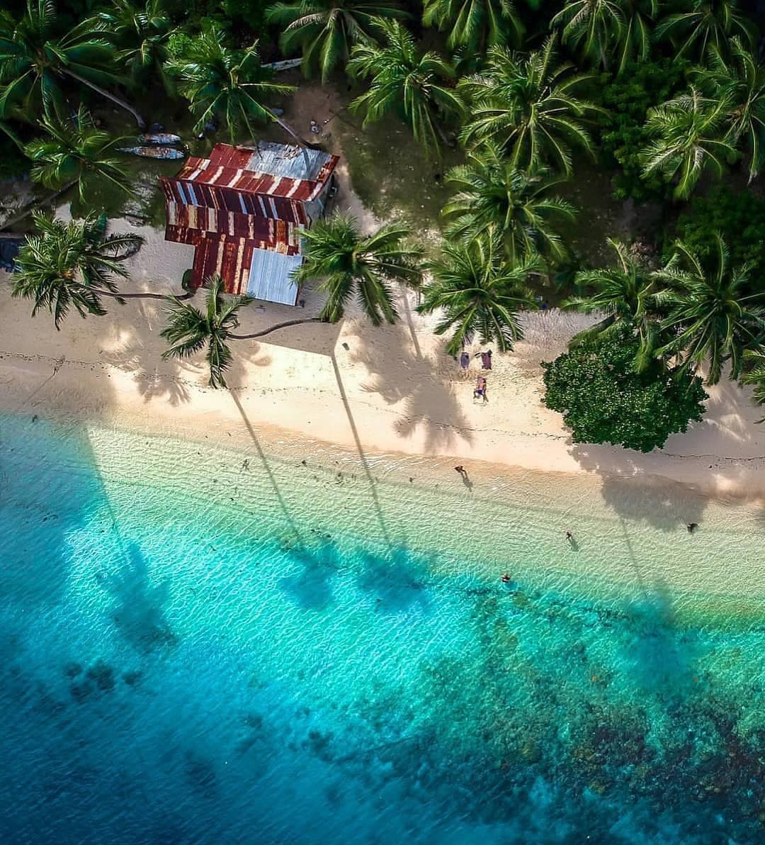 El nido