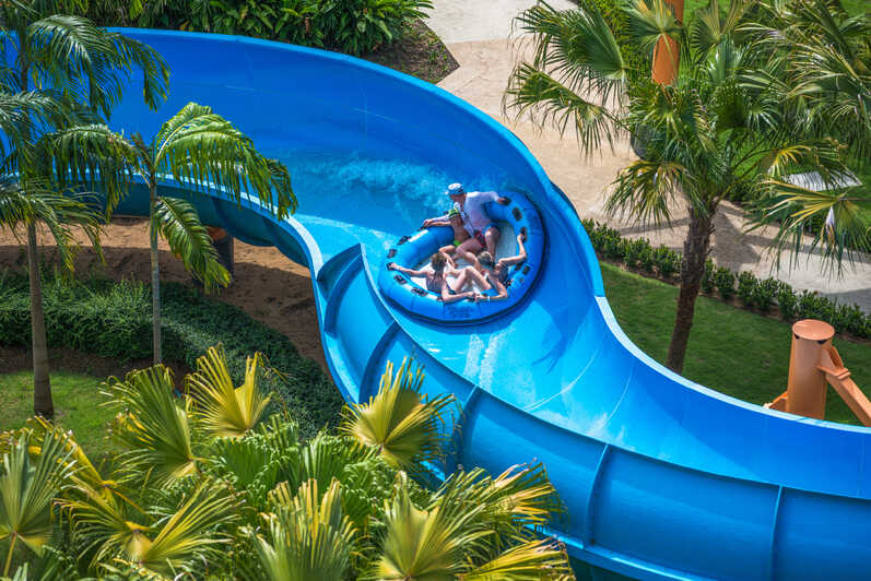 Splash Jungle