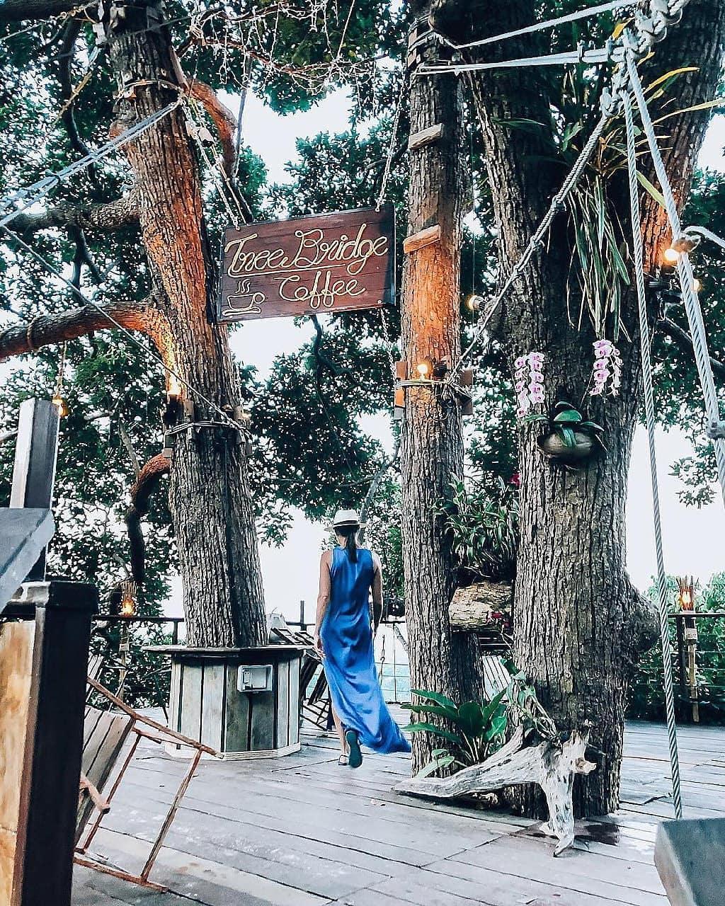tree bridge coffee