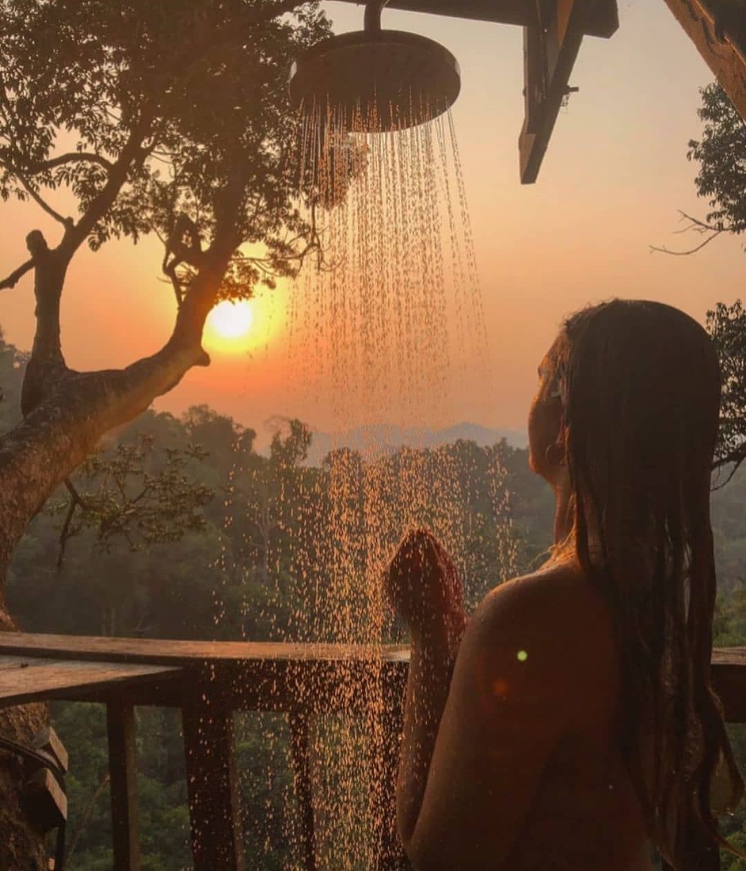 the gibbon experience