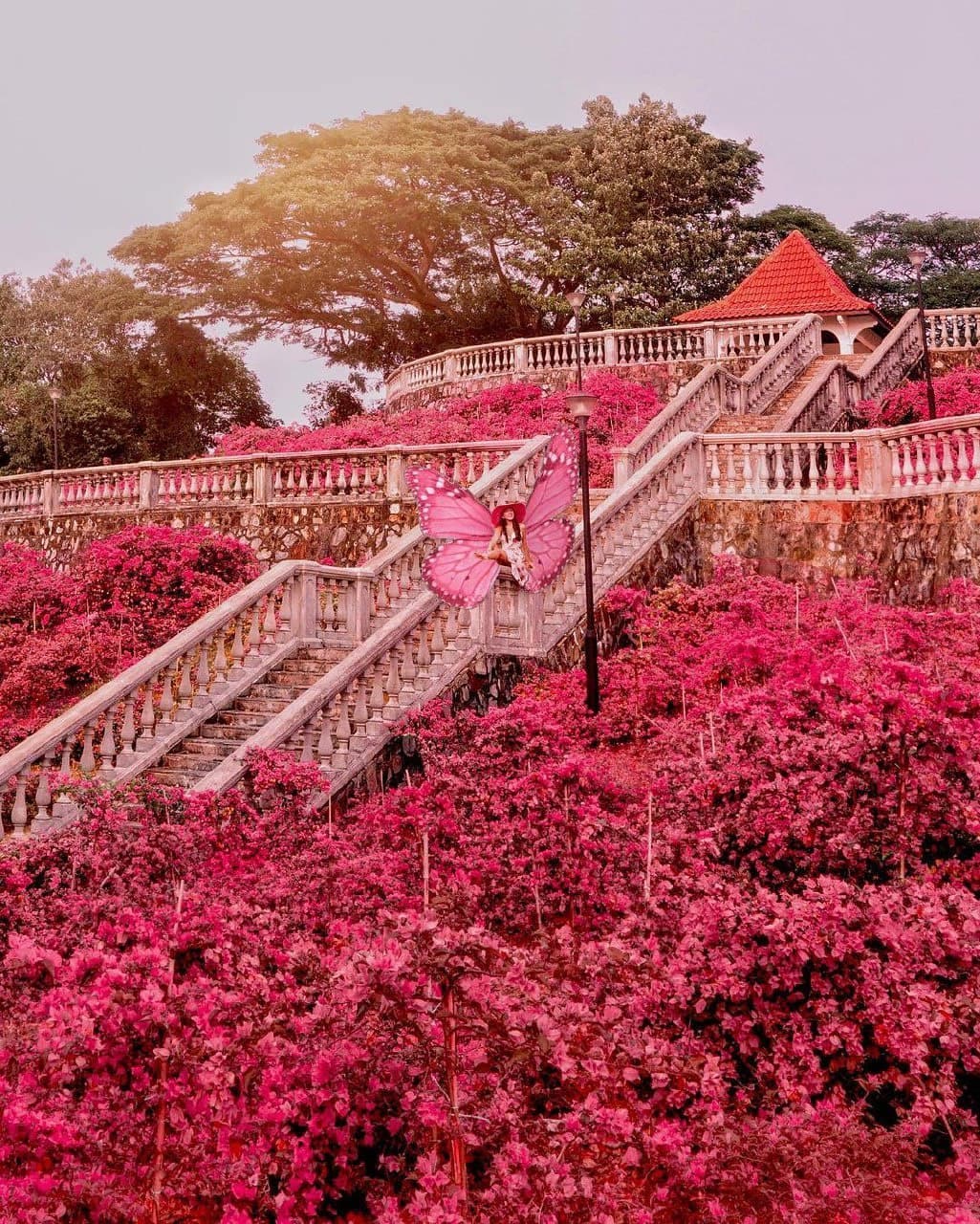 telok blangah hill park