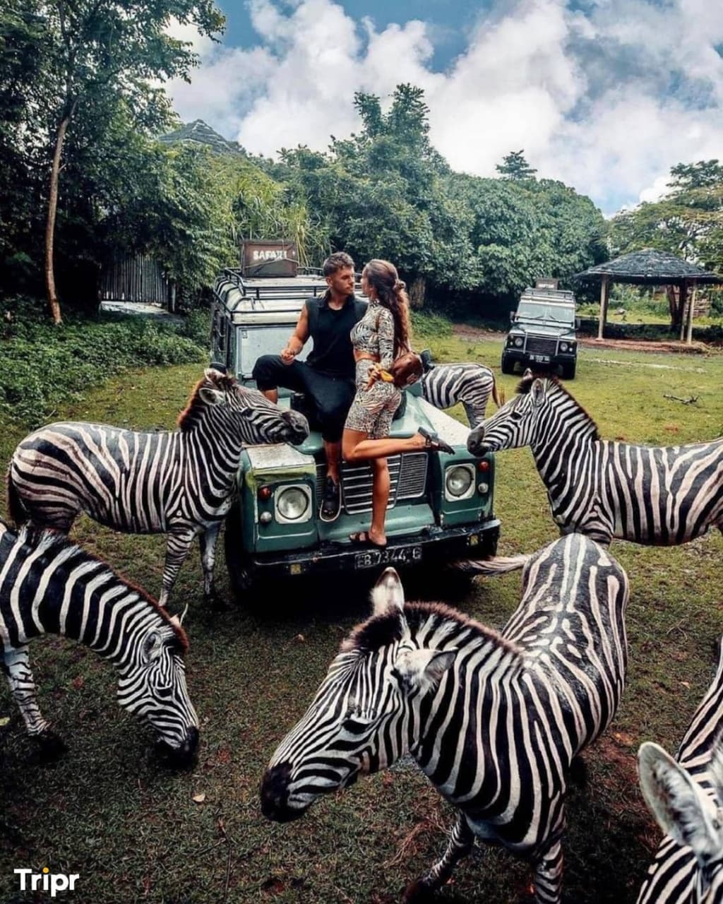 Bali Safari