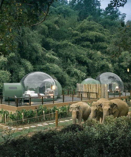 anantara golden triangle