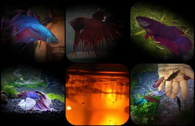 Történetünk image