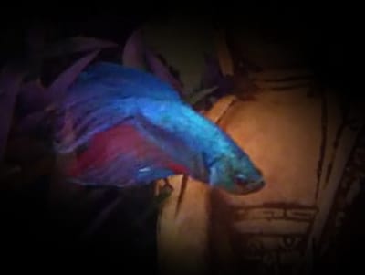 Történetünk image