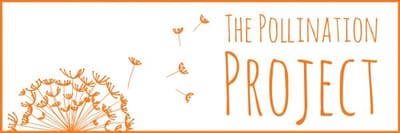 Pollination Project  image