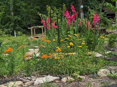 Pollination Project  image