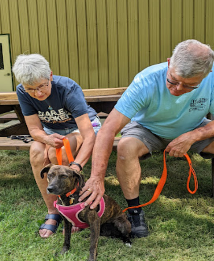 Peaches, Cathy and Joe