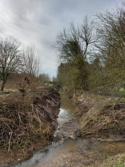 Dyke clearance project