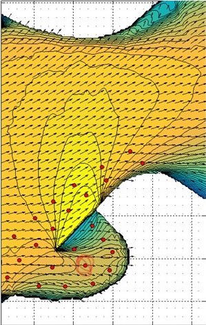 > Report for Extreme Wave Condition at Tung Chung Marina 