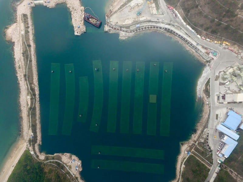 Shatin Central Link - Cross Harbour Tunnel Section