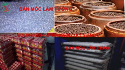 bán mốc sản xuất chao/mốc mucor Elegent/shelegent image